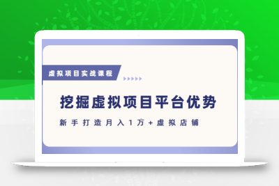 抓住虚拟项目各平台优势，新手轻松月入1W+(给出具体建议)